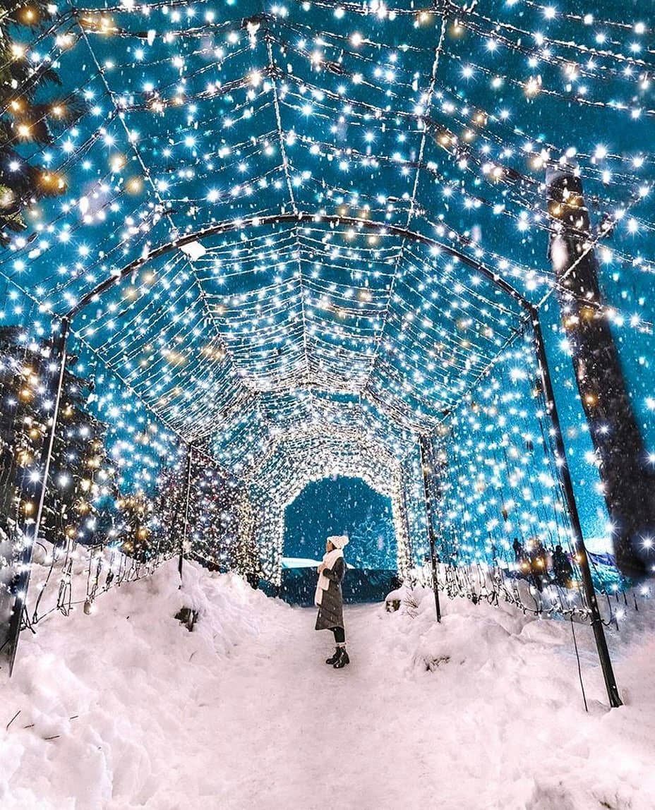 Luces navideñas de Guía de montaña de Urogallos