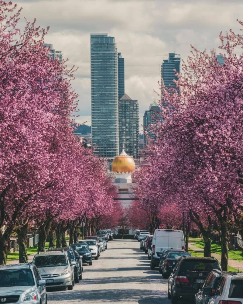 5 Best Places To Visit Around Vancouver During Spring