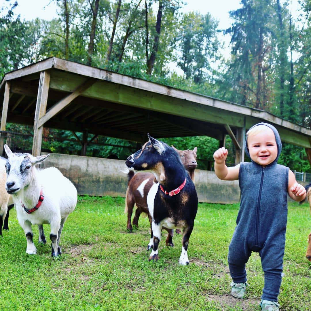 Vancouver kid friendly activities - maplewood farm of child with goats