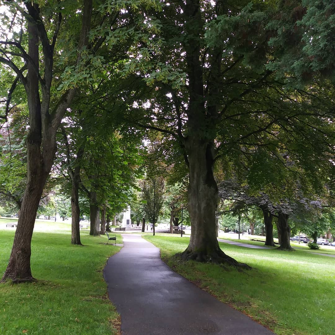 lonsdale quay travel guide -victoria park trees