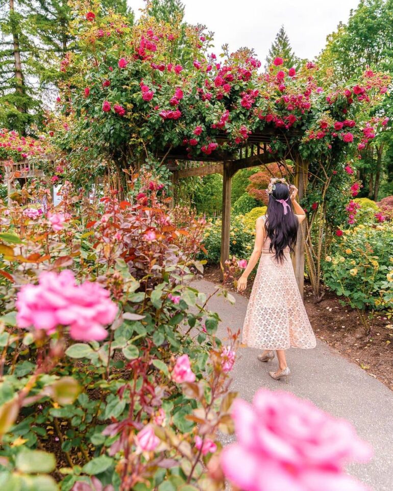 9 Best Parks in Burnaby for a Few Hours of Relaxing Nature