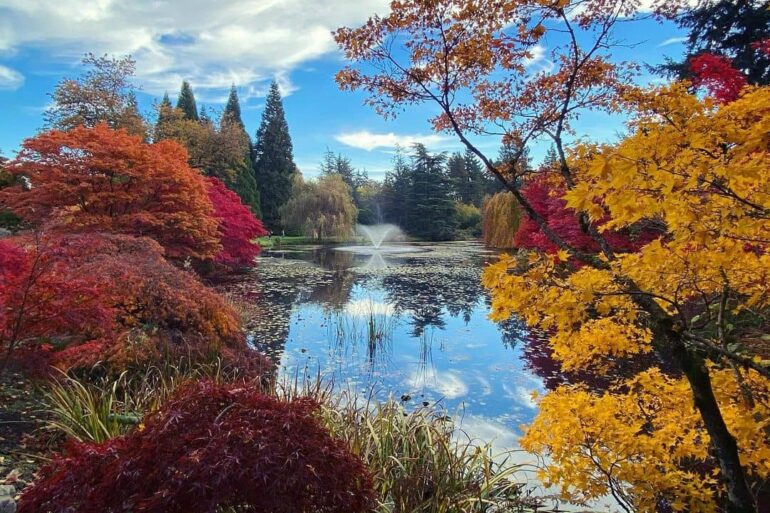 9 Best Spots To See Fall Foliage In Vancouver