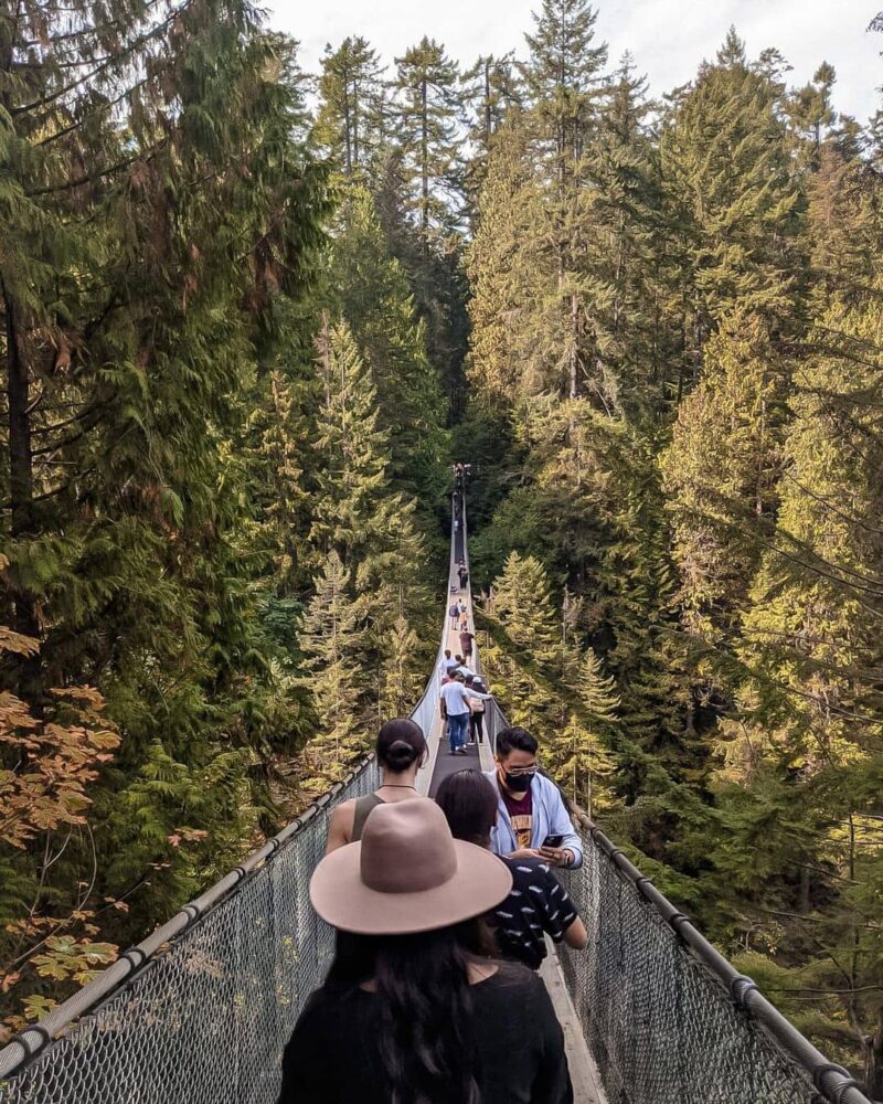 Capilano Suspension Bridge | Things to do & see | Vancouver Food Blog