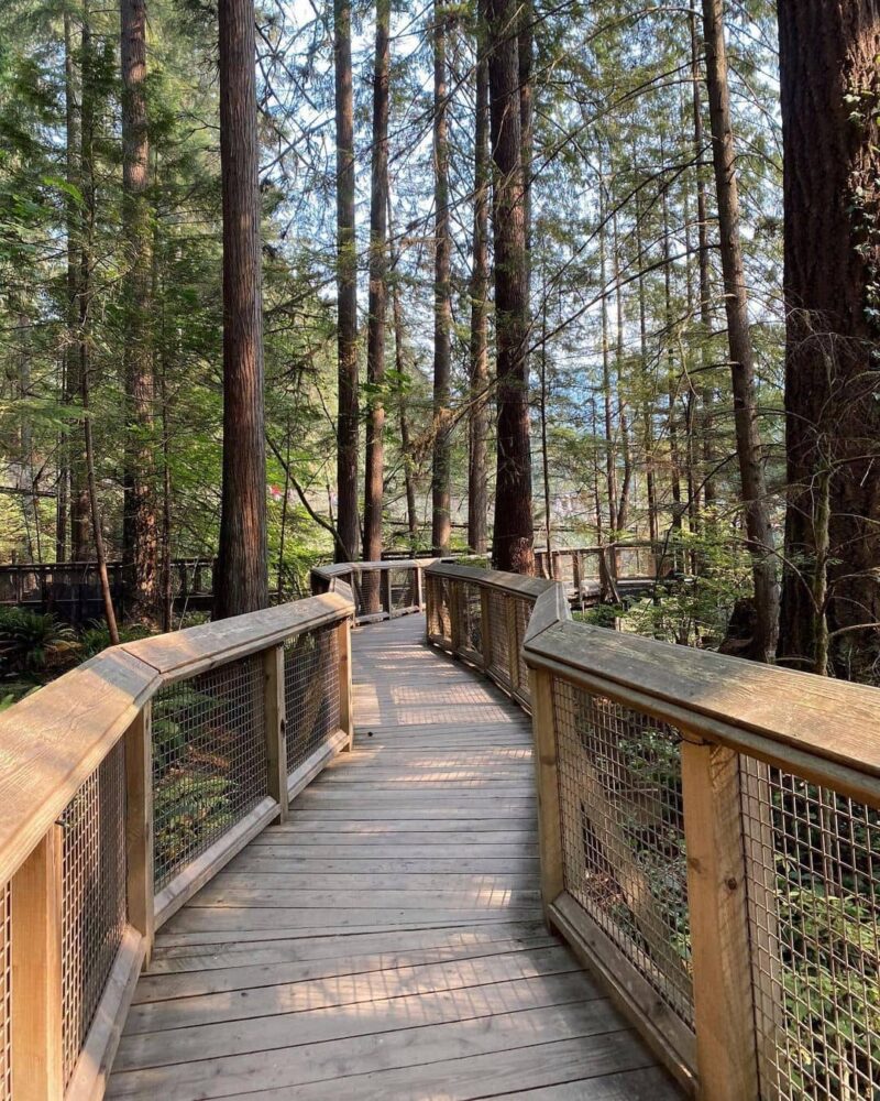 Capilano Suspension Bridge | Things to do & see | Vancouver Food Blog