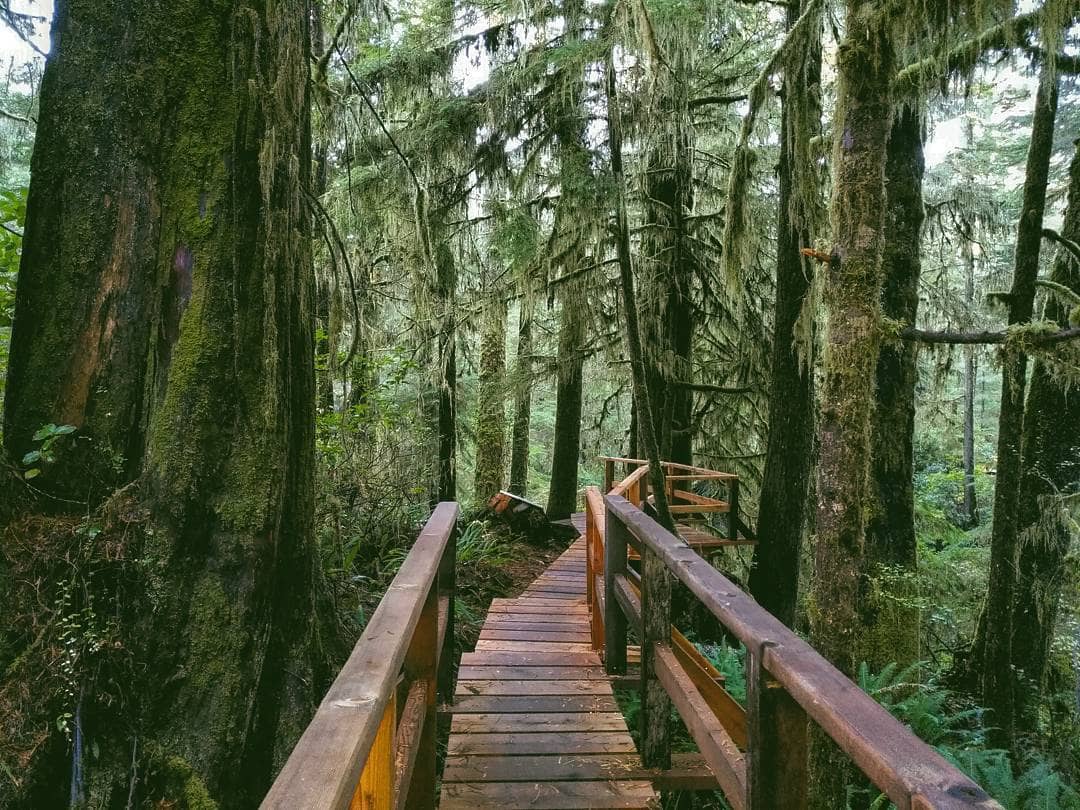 7 Best Things To Do In Tofino For A Good Time