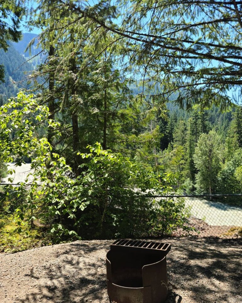 5 Best Whistler Campgrounds for Towering Trees, Mountain Views