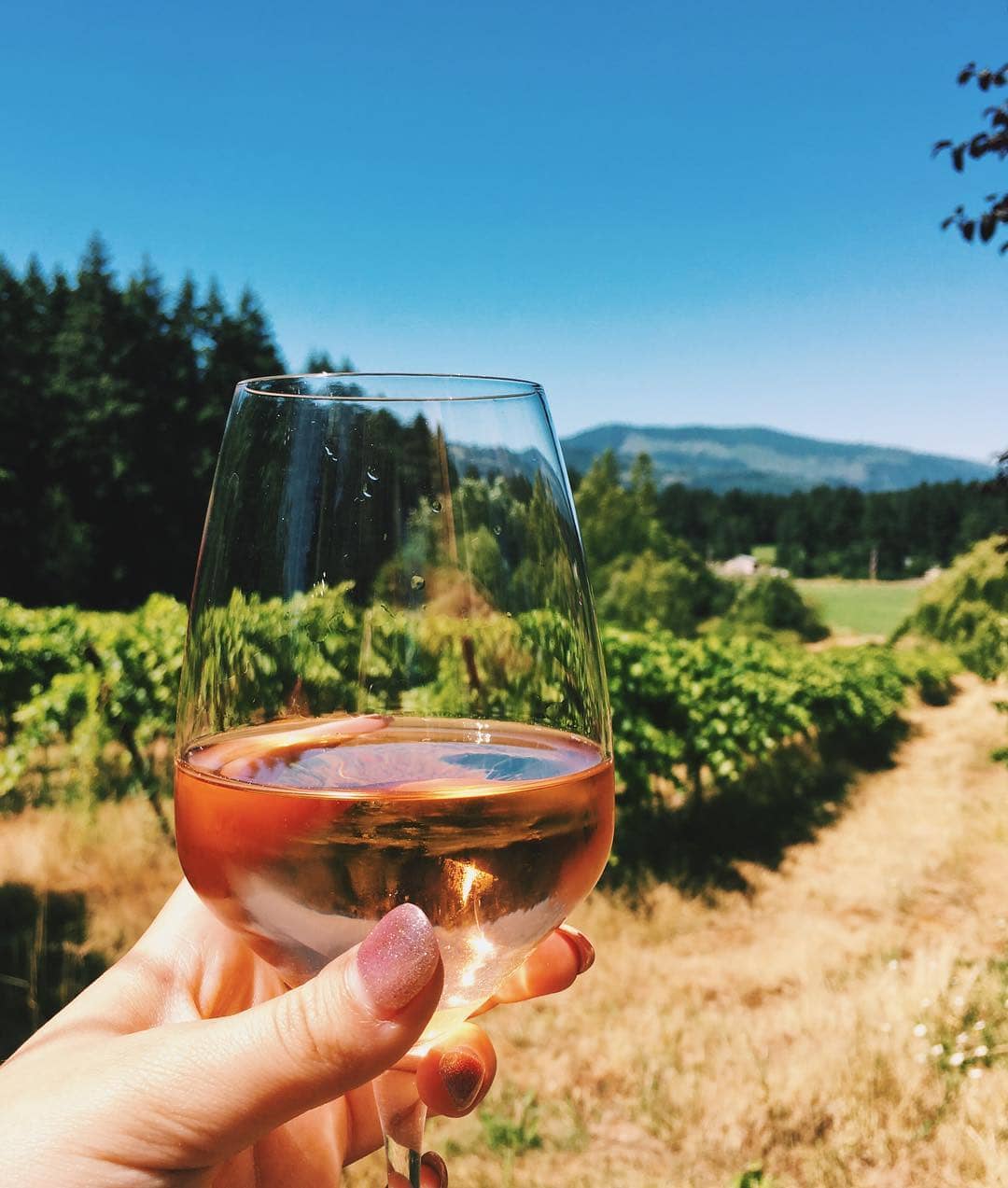 wine tours on vancouver island