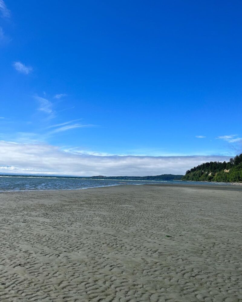 5 Best Beaches in Victoria, BC for Wildlife & Scenic Views