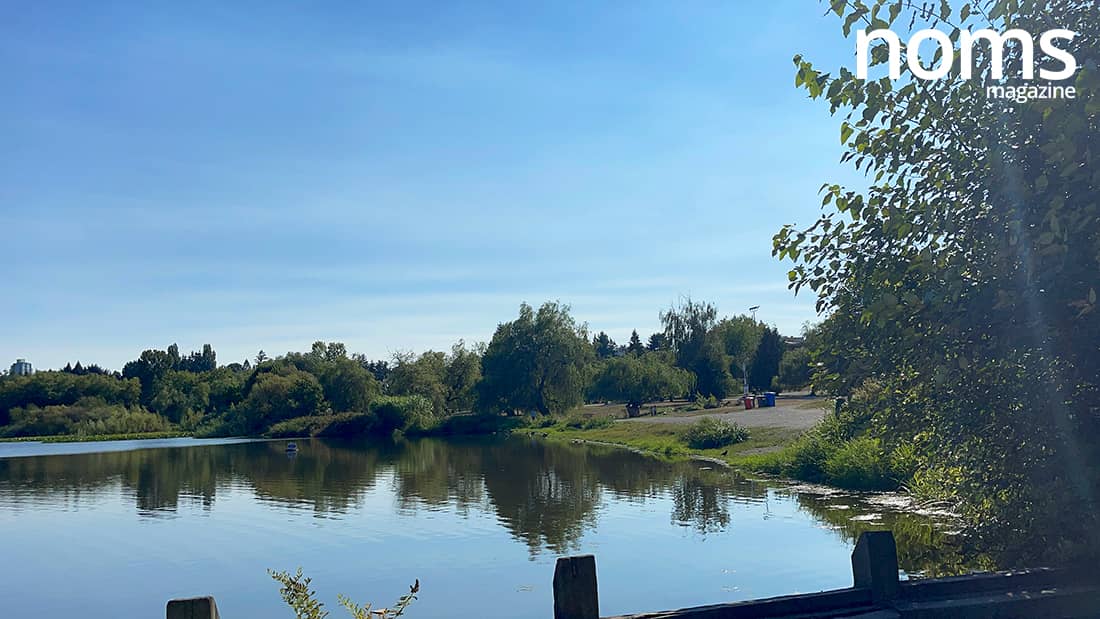Trout Lake Park (John Hendry Park) Things To Do & See Vancouver