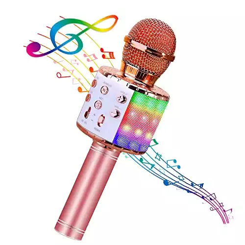 Portable Karaoke Microphone