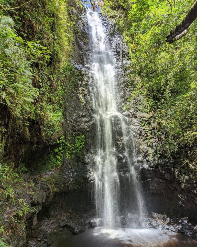 8 Best Waterfall Hikes In Oahu To Visit In 2024 For Families and Couples