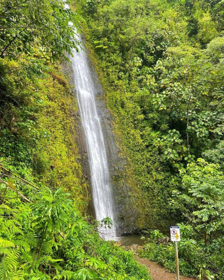 8 Best Waterfall Hikes In Oahu To Visit In 2024 For Families and Couples