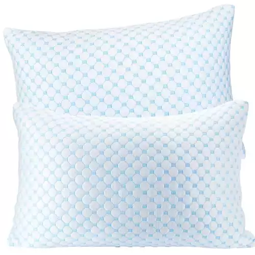 Hearth & Harbor Pillows Queen Size Set of 2