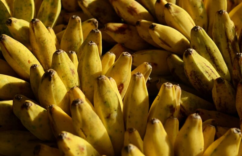 15 Wild Banana Facts They’ll Peel Back Everything You Thought You Knew