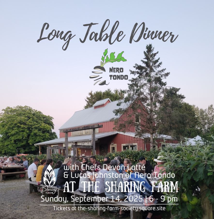 long table dinner