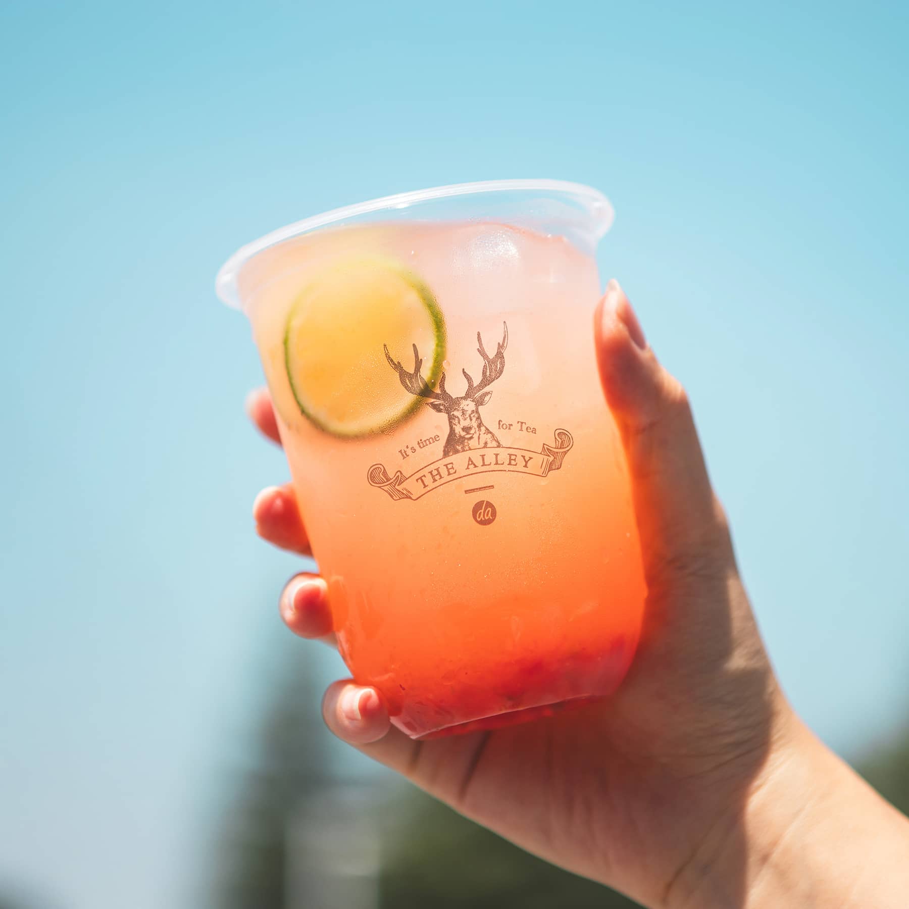 Pink Canopy Refresher