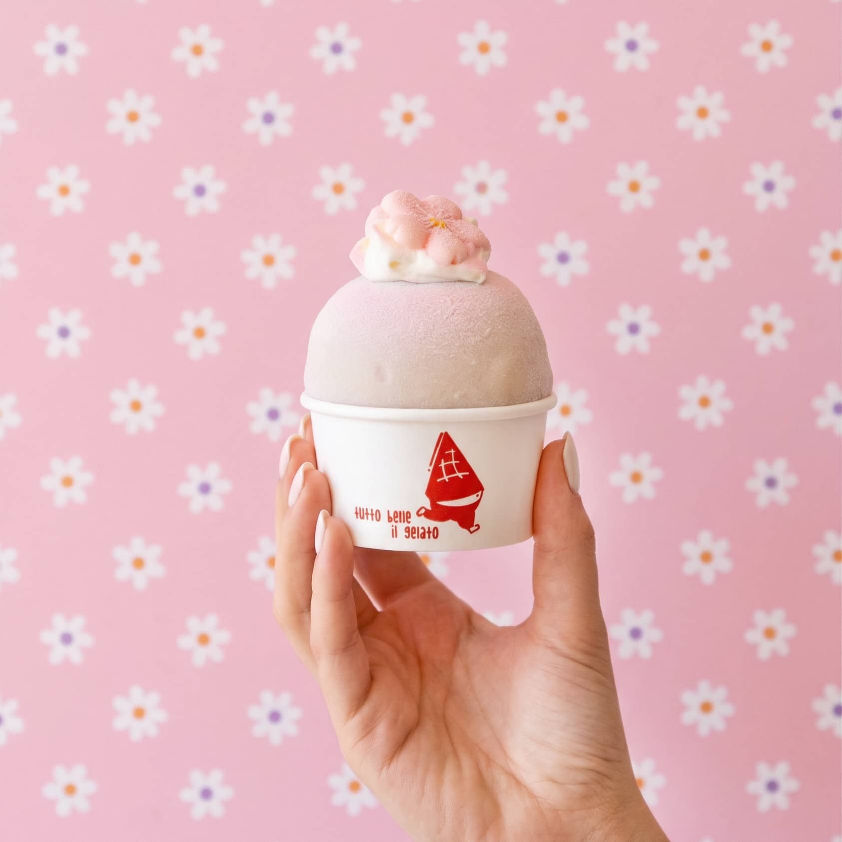 Raspberry Cherry Blossom Mochi