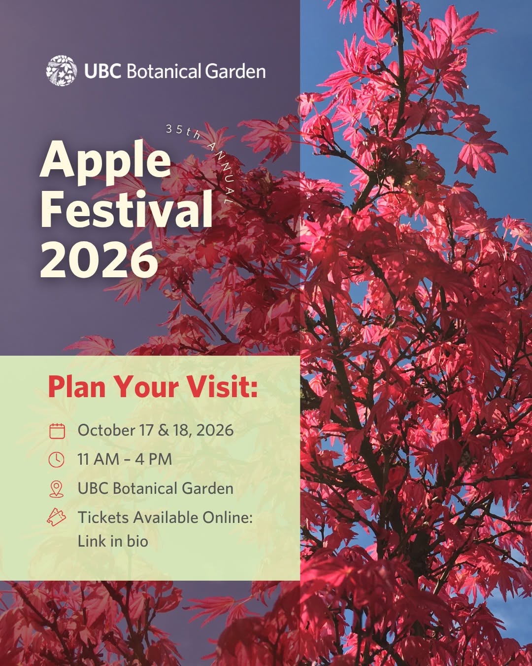 Apple Festival